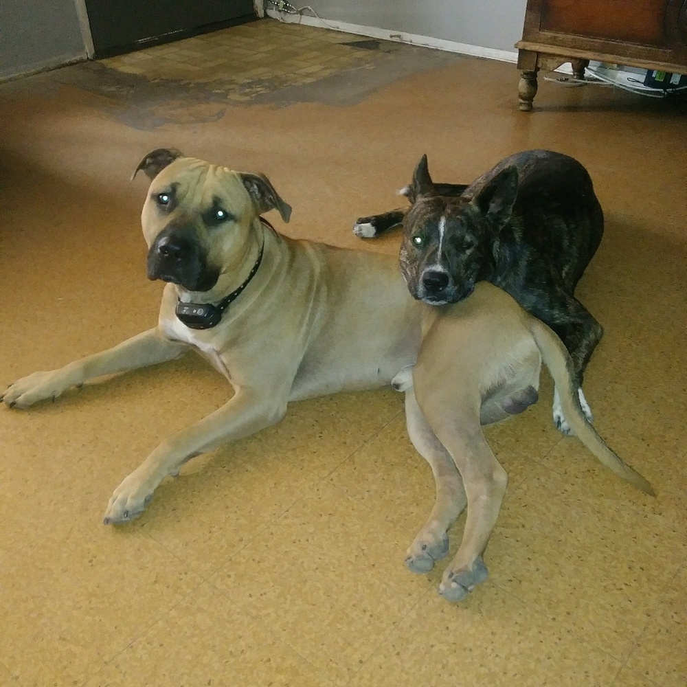 Meet your Posher, Melonie